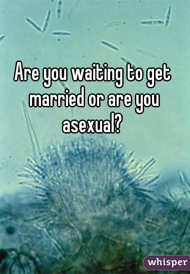 Are you waiting to get married or are you asexual? 