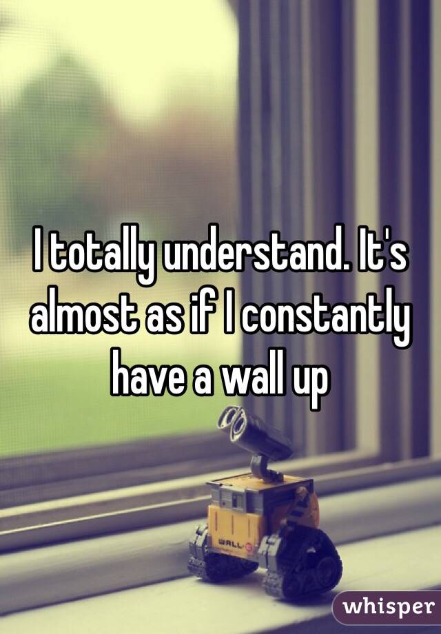 I totally understand. It's almost as if I constantly have a wall up 