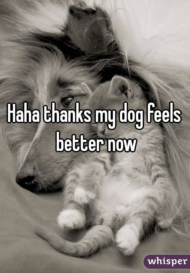Haha thanks my dog feels better now