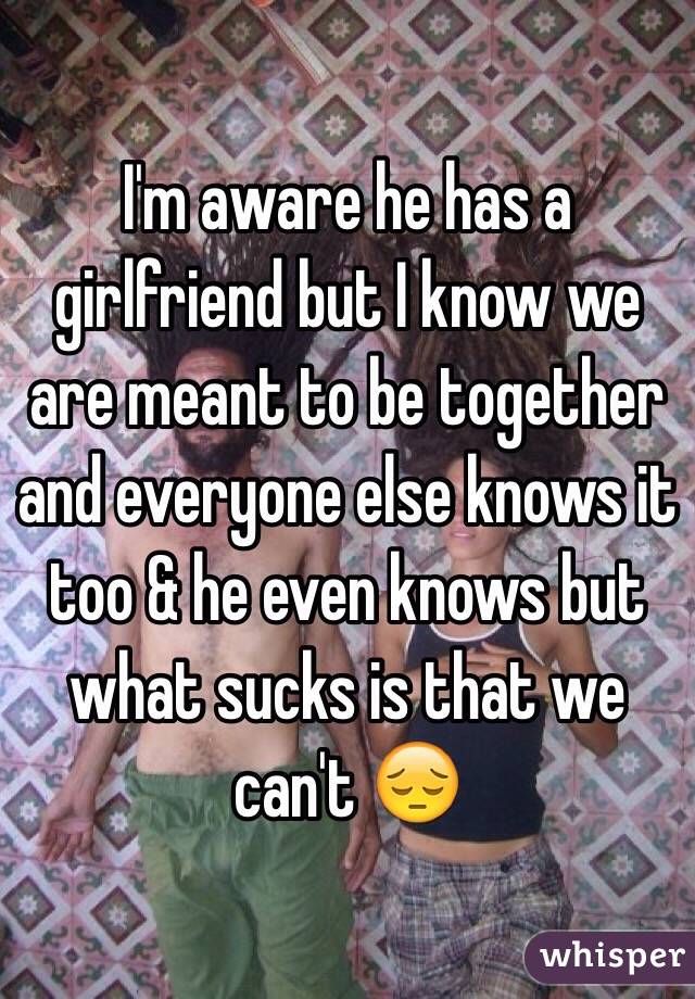 I'm aware he has a girlfriend but I know we are meant to be together and everyone else knows it too & he even knows but what sucks is that we can't 😔