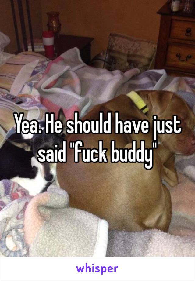 Yea. He should have just said "fuck buddy"