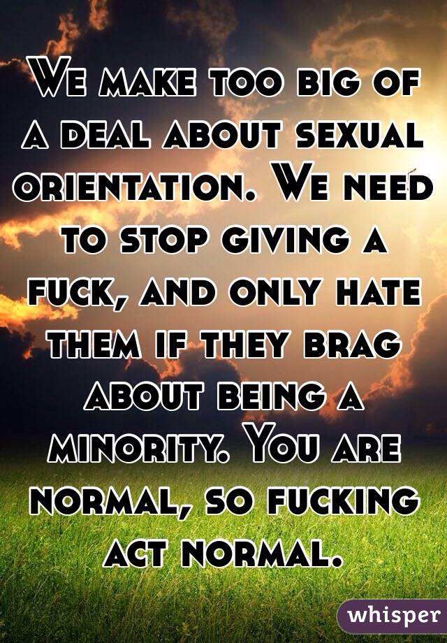 We make too big of a deal about sexual orientation. We need to stop giving a fuck, and only hate them if they brag about being a minority. You are normal, so fucking act normal.