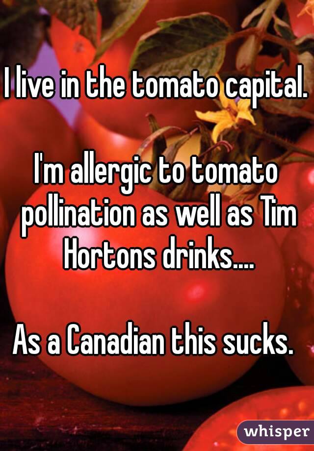 I live in the tomato capital. 
I'm allergic to tomato pollination as well as Tim Hortons drinks....

As a Canadian this sucks. 
