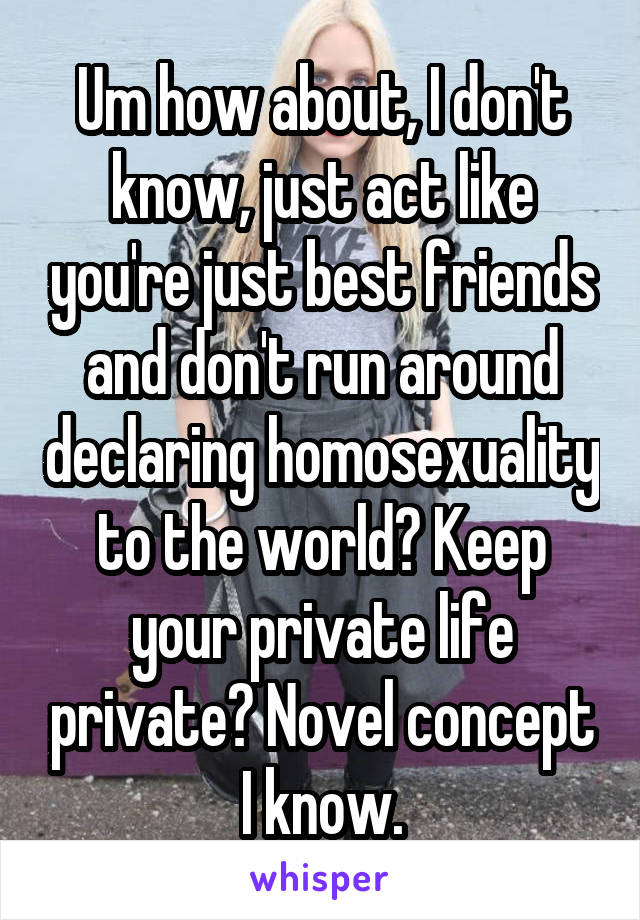 Um how about, I don't know, just act like you're just best friends and don't run around declaring homosexuality to the world? Keep your private life private? Novel concept I know.