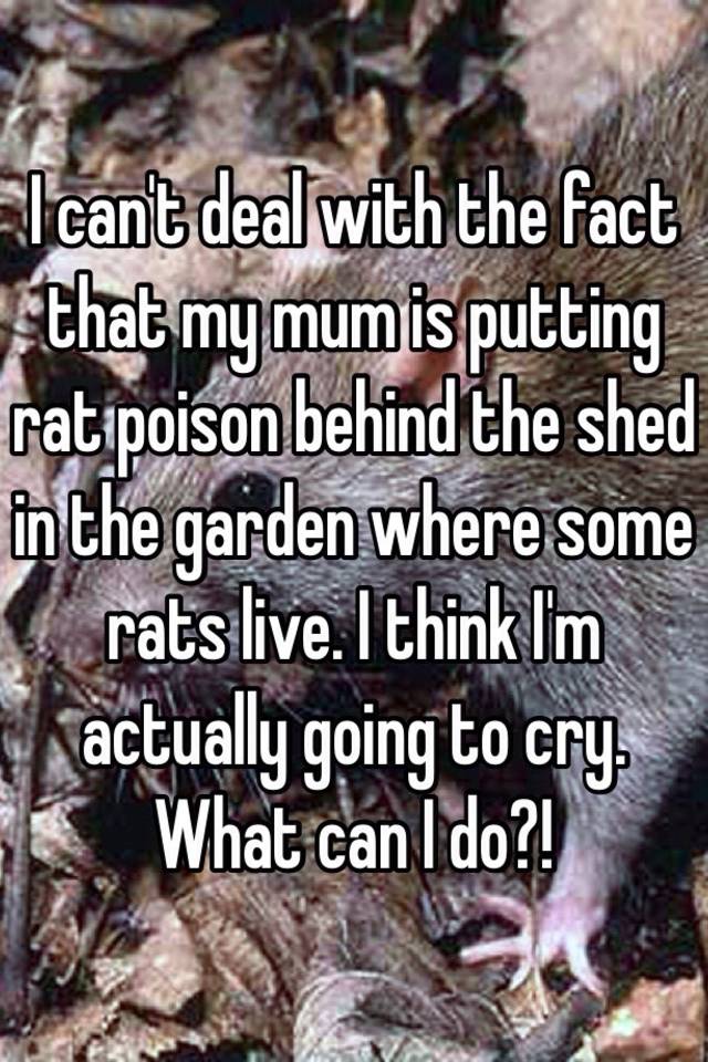 I can't deal with the fact that my mum is putting rat poison behind the