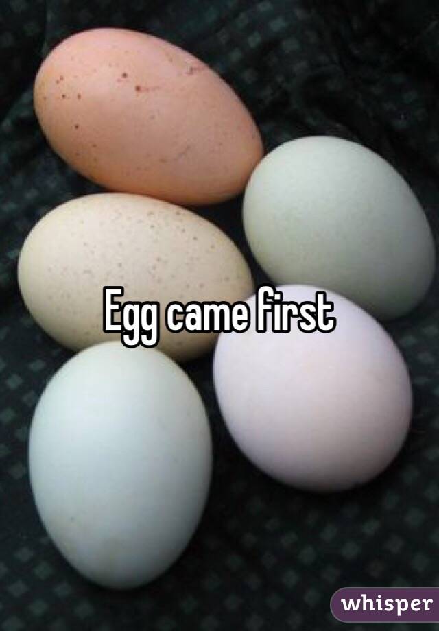 Egg came first