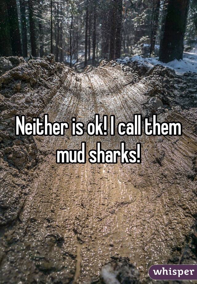 Neither is ok! I call them mud sharks!