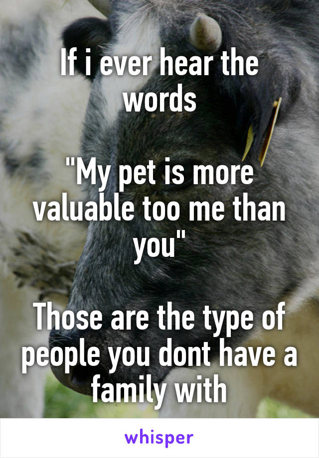 If i ever hear the words

"My pet is more valuable too me than you"

Those are the type of people you dont have a family with