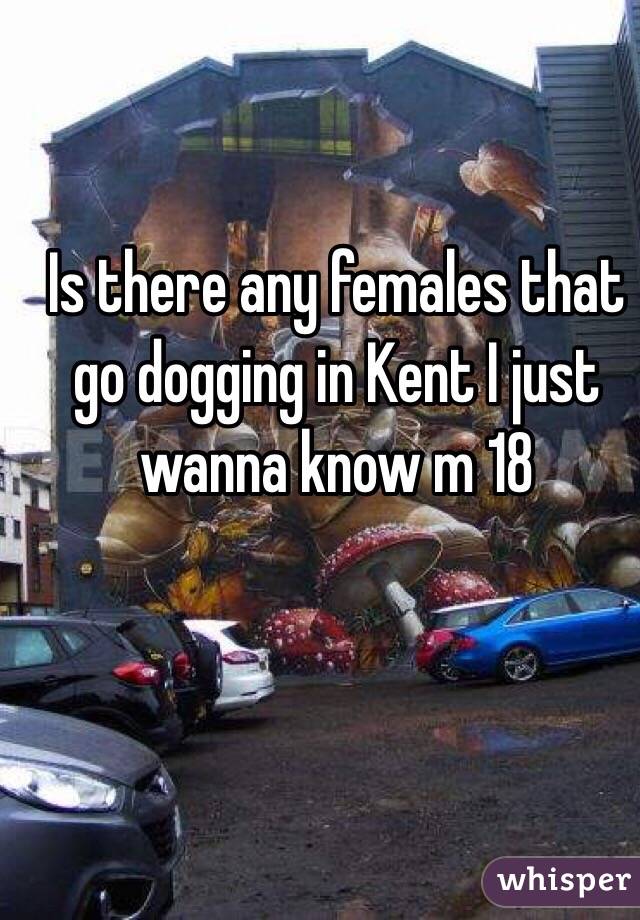 Is there any females that go dogging in Kent I just wanna know m 18 
