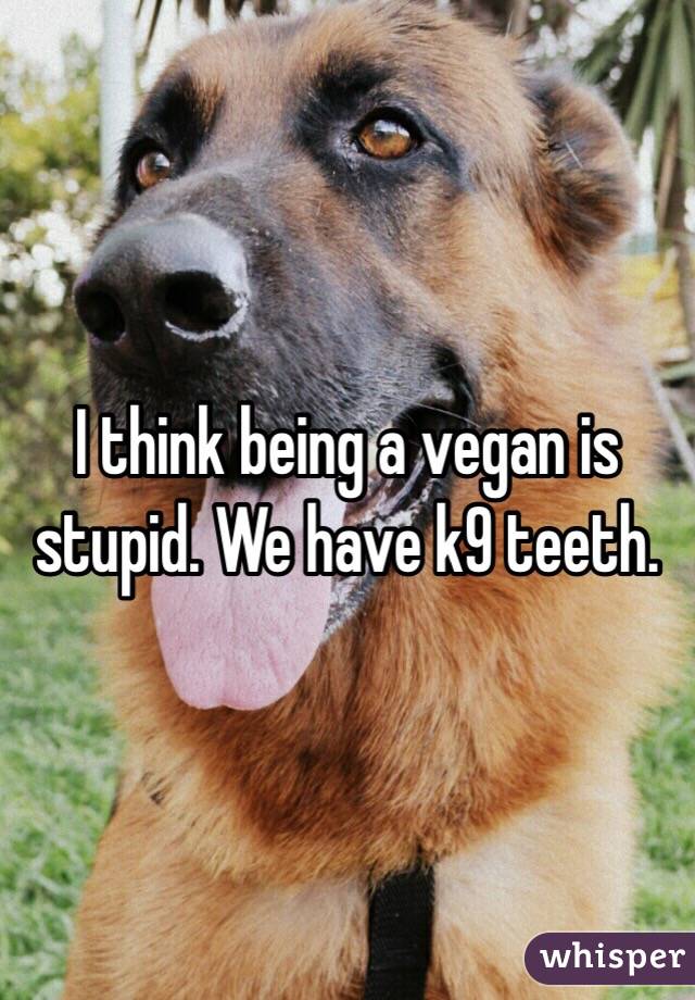 I think being a vegan is stupid. We have k9 teeth. 