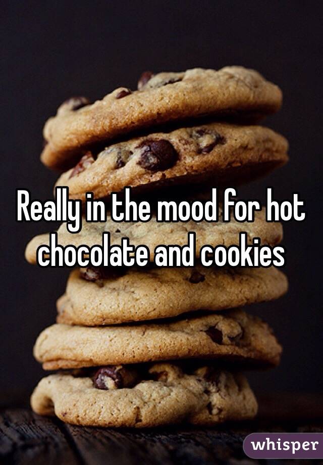 Really in the mood for hot chocolate and cookies 