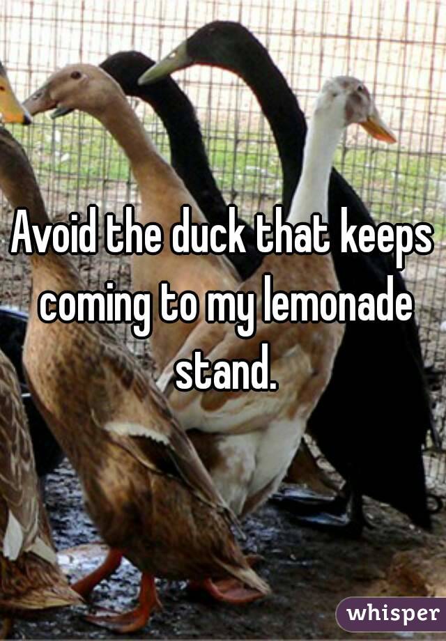 Avoid the duck that keeps coming to my lemonade stand.