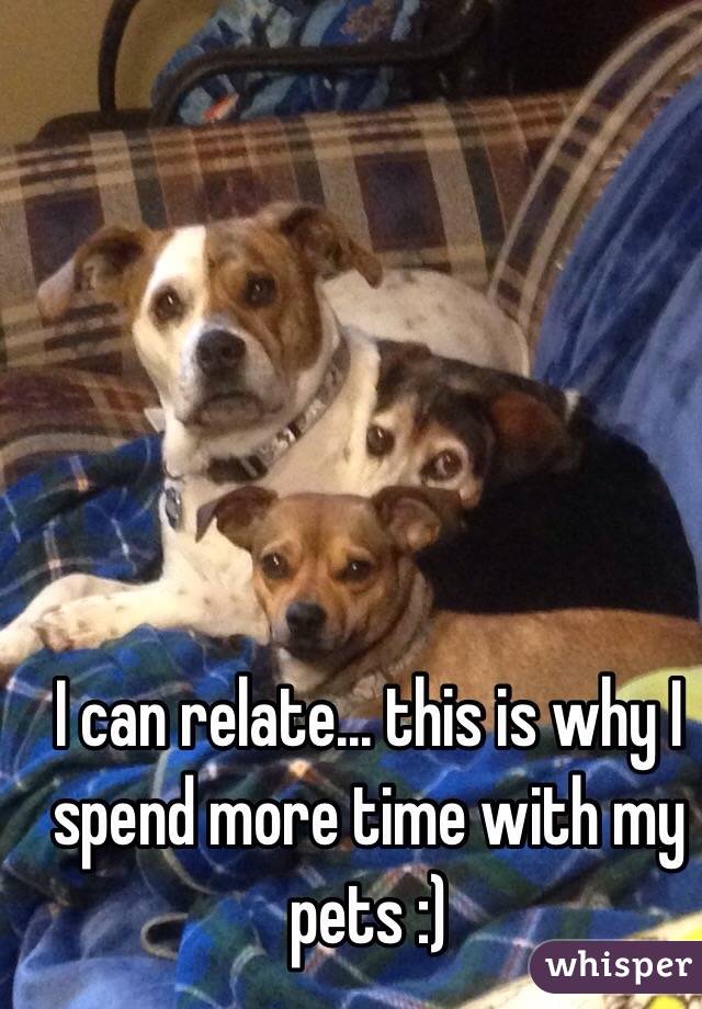I can relate... this is why I spend more time with my pets :)