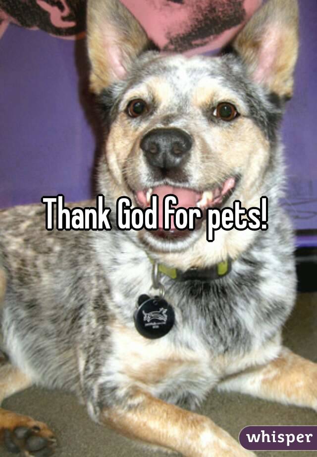 Thank God for pets! 
