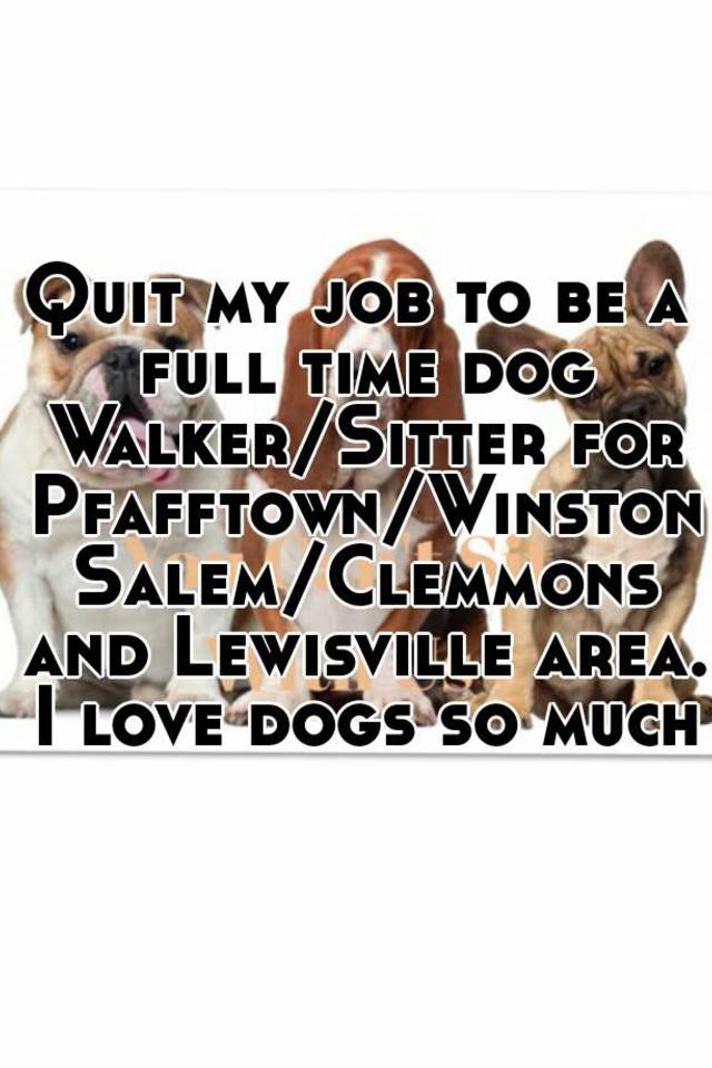 quit-my-job-to-be-a-full-time-dog-walker-sitter-for-pfafftown-winston