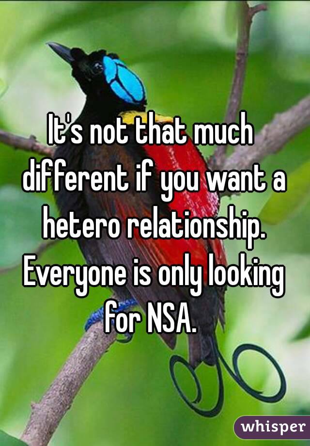 It's not that much different if you want a hetero relationship. Everyone is only looking for NSA. 