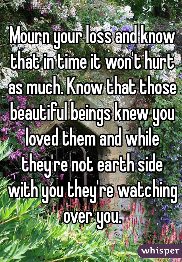 Mourn your loss and know that in time it won't hurt as much. Know that those beautiful beings knew you loved them and while they're not earth side with you they're watching over you. 