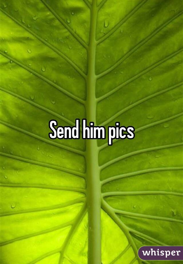 Send him pics