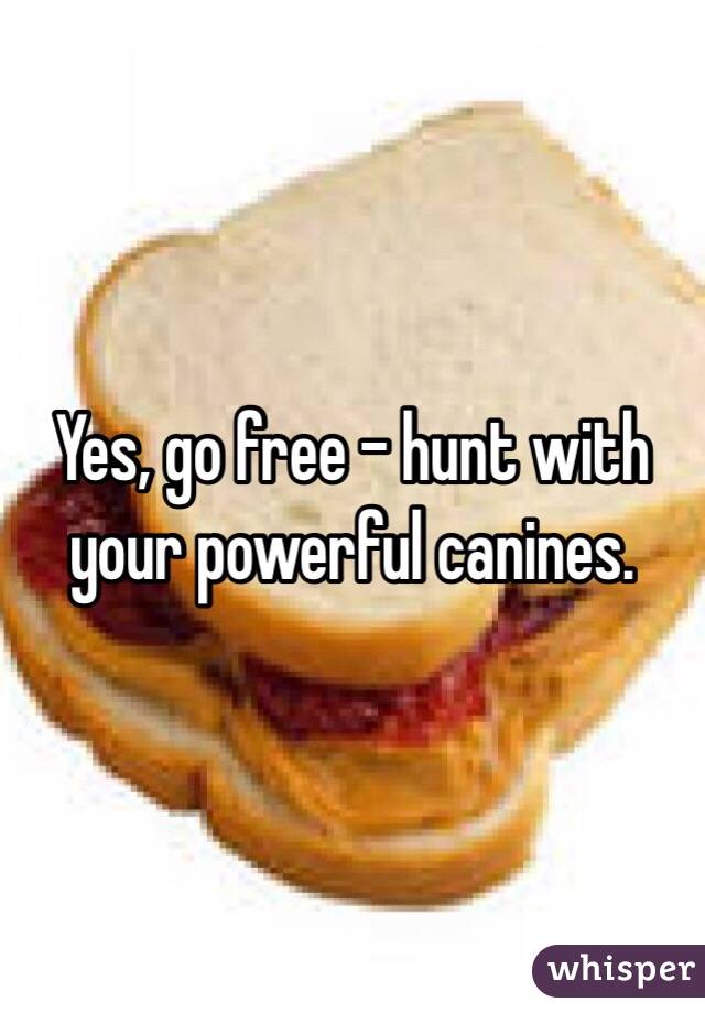 Yes, go free - hunt with your powerful canines. 
