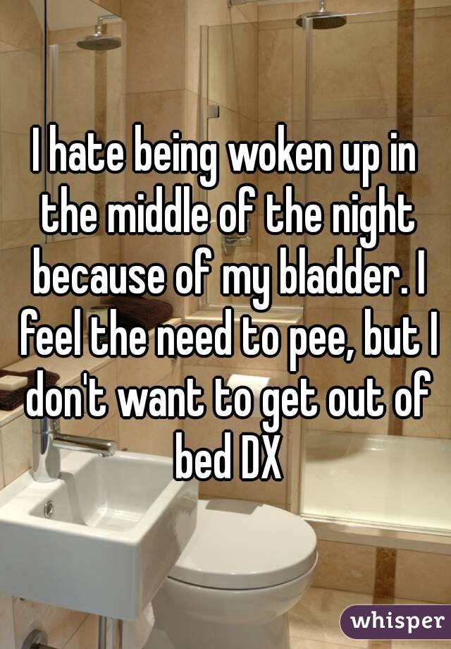I hate being woken up in the middle of the night because of my bladder. I feel the need to pee, but I don't want to get out of bed DX