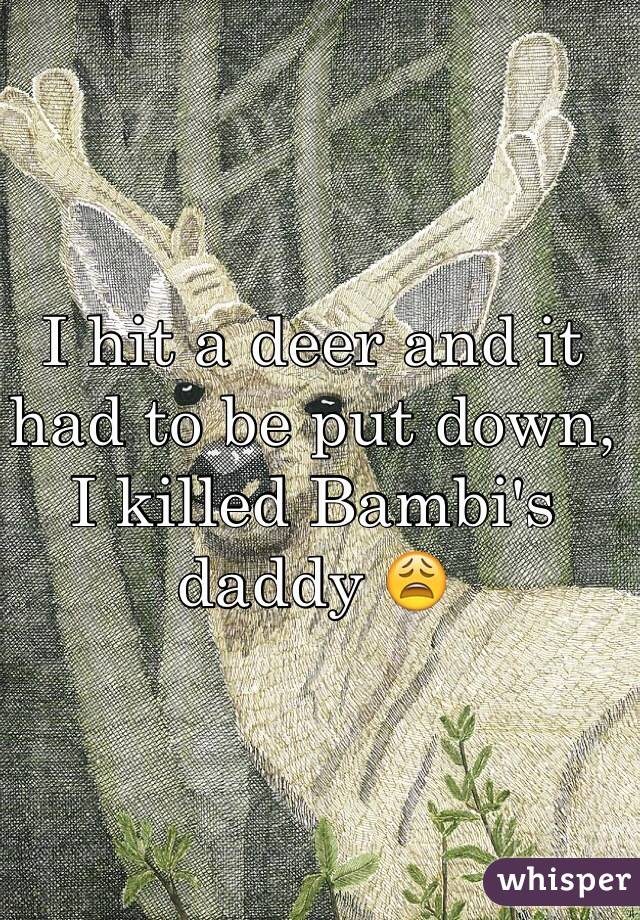I hit a deer and it had to be put down, I killed Bambi's daddy 😩