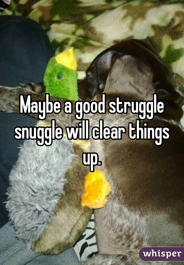 Maybe a good struggle snuggle will clear things up. 