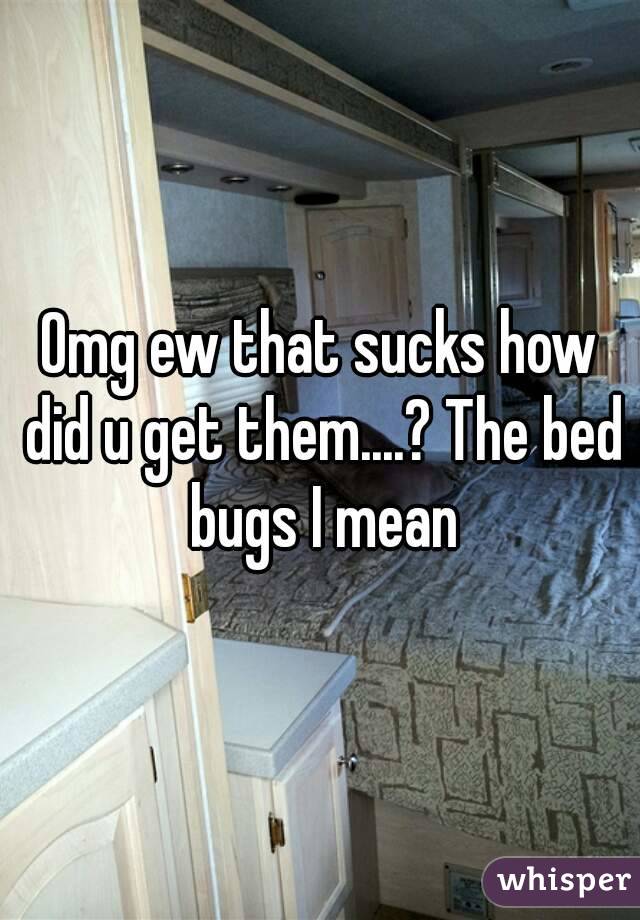 Omg ew that sucks how did u get them....? The bed bugs I mean