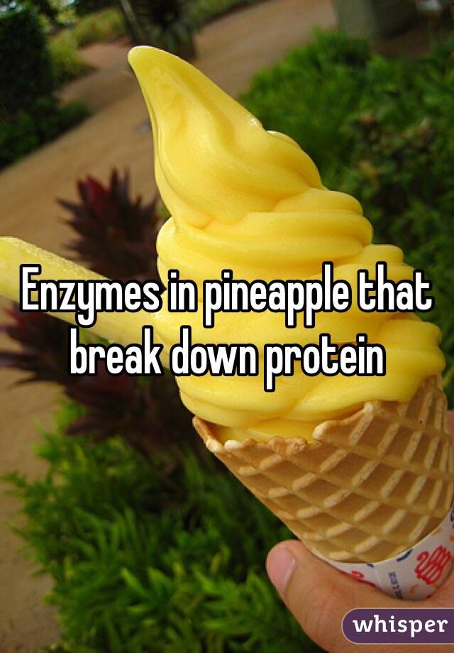 Enzymes in pineapple that break down protein 