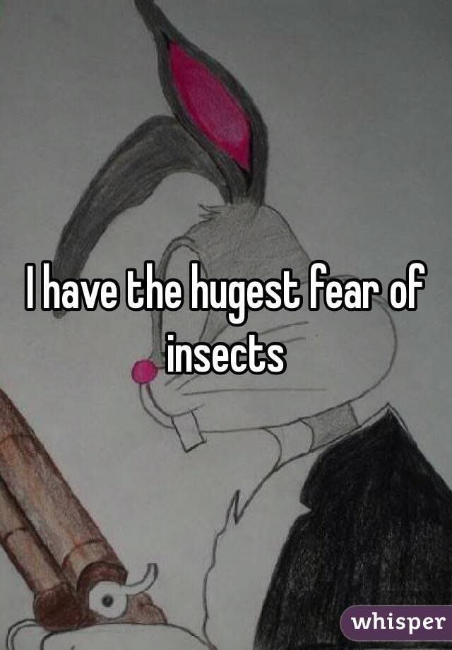 I have the hugest fear of insects