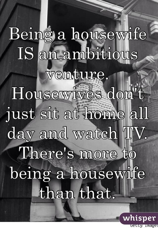 Being a housewife IS an ambitious venture. Housewives don't just sit at home all day and watch TV. There's more to being a housewife than that.