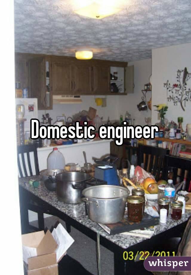 Domestic engineer