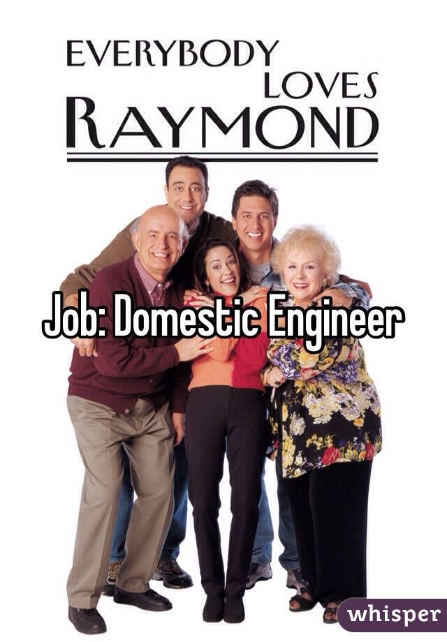 Job: Domestic Engineer