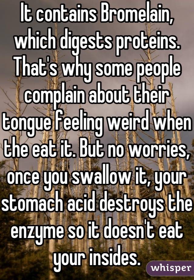 It contains Bromelain, which digests proteins. That's why some people complain about their tongue feeling weird when the eat it. But no worries, once you swallow it, your stomach acid destroys the enzyme so it doesn't eat your insides.