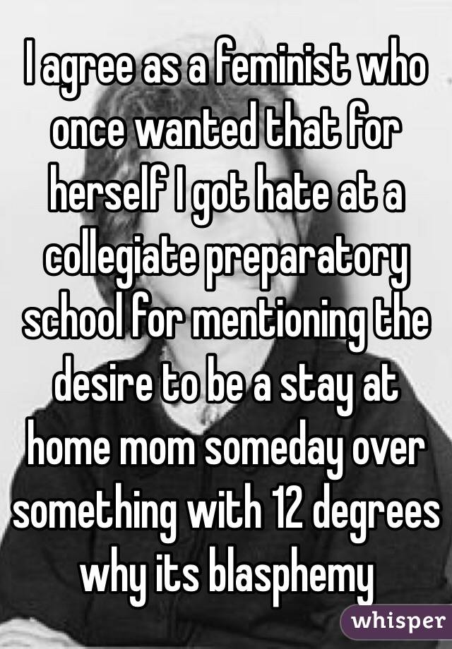 I agree as a feminist who once wanted that for herself I got hate at a collegiate preparatory school for mentioning the desire to be a stay at home mom someday over something with 12 degrees why its blasphemy