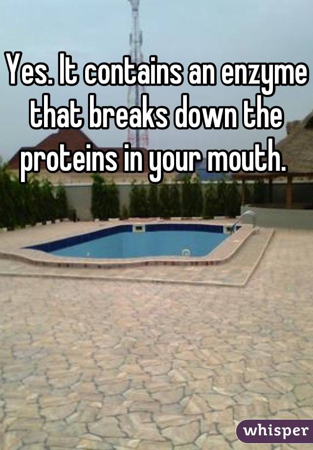 Yes. It contains an enzyme that breaks down the proteins in your mouth. 