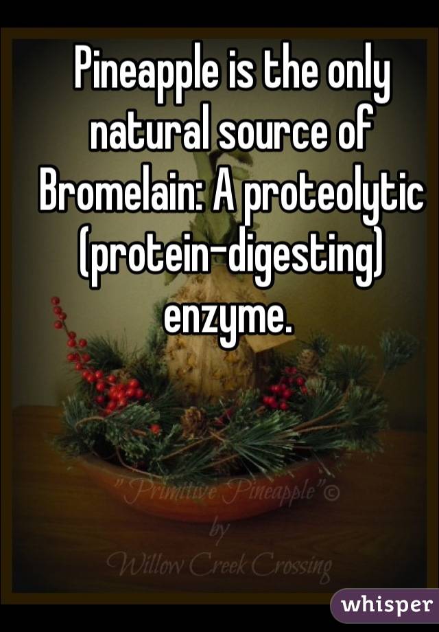 Pineapple is the only natural source of Bromelain: A proteolytic (protein-digesting) enzyme. 