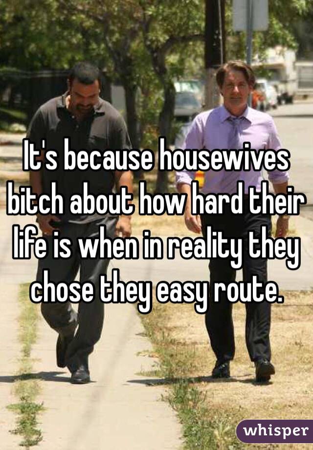 It's because housewives bitch about how hard their life is when in reality they chose they easy route. 