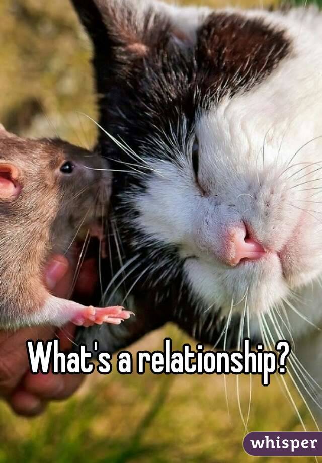 What's a relationship?