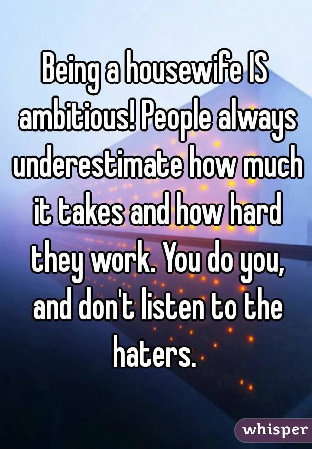 Being a housewife IS ambitious! People always underestimate how much it takes and how hard they work. You do you, and don't listen to the haters. 