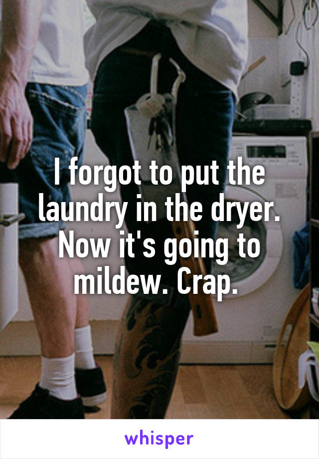 I forgot to put the laundry in the dryer. Now it's going to mildew. Crap. 