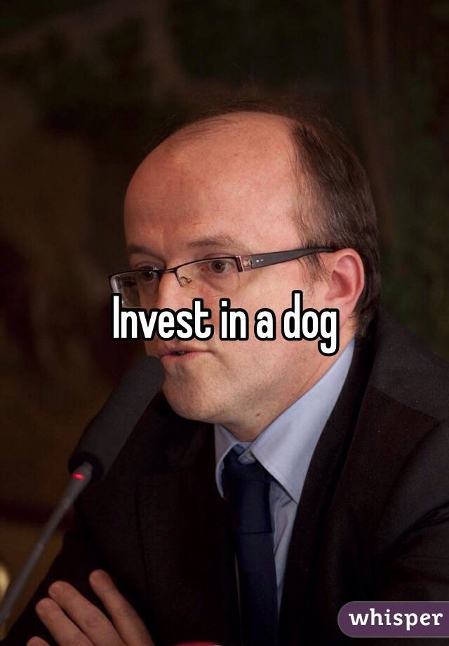 Invest in a dog