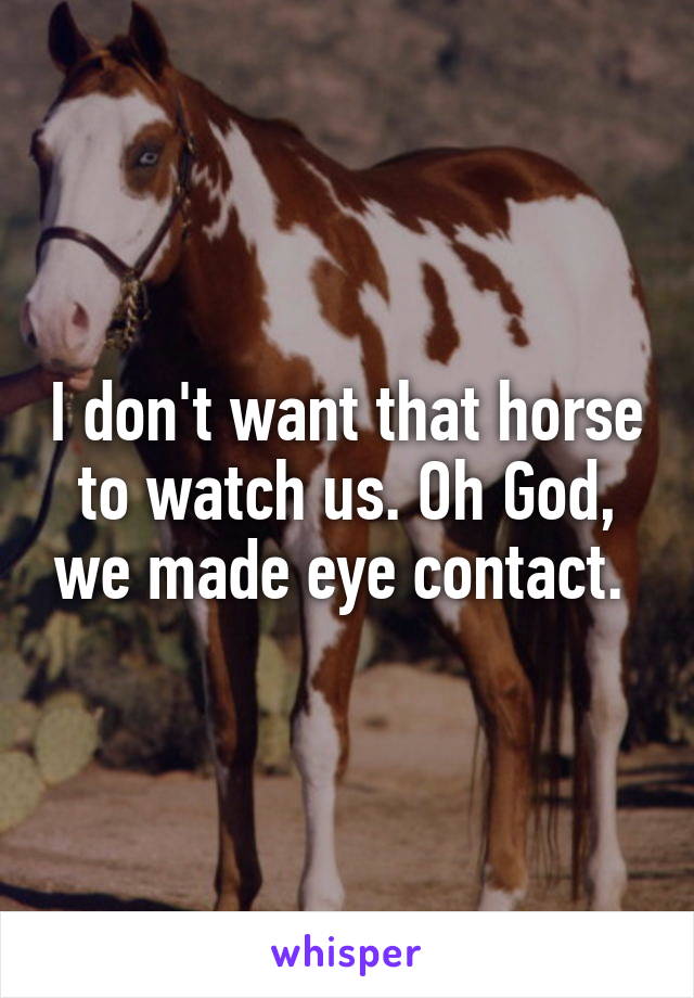 I don't want that horse to watch us. Oh God, we made eye contact. 