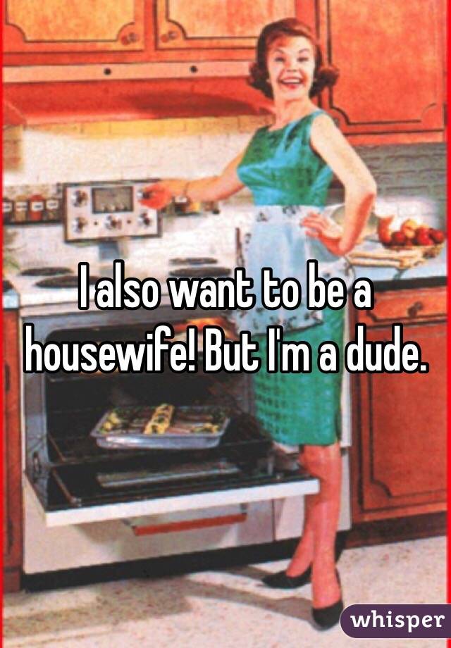 I also want to be a housewife! But I'm a dude. 