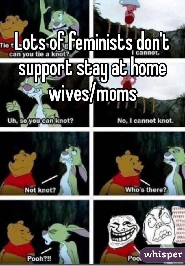 Lots of feminists don't support stay at home wives/moms