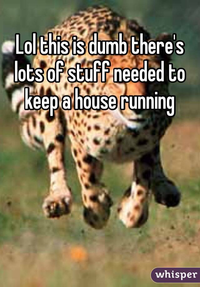 Lol this is dumb there's lots of stuff needed to keep a house running 