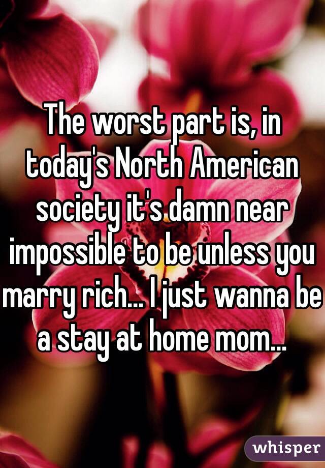 The worst part is, in today's North American society it's damn near impossible to be unless you marry rich... I just wanna be a stay at home mom...