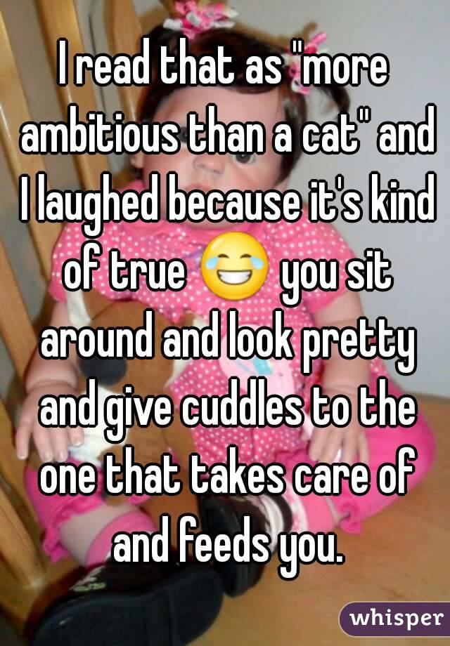 I read that as "more ambitious than a cat" and I laughed because it's kind of true 😂 you sit around and look pretty and give cuddles to the one that takes care of and feeds you.