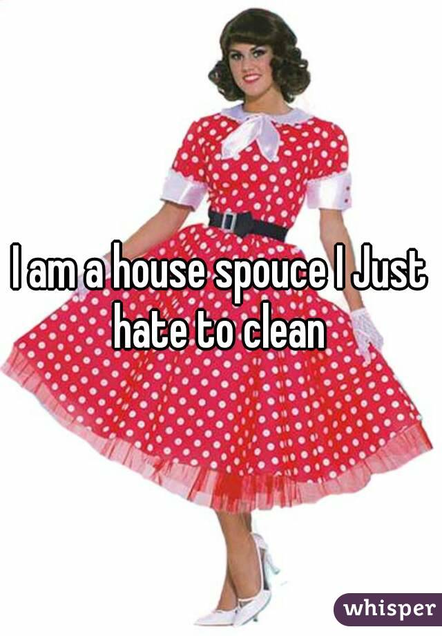 I am a house spouce I Just hate to clean 