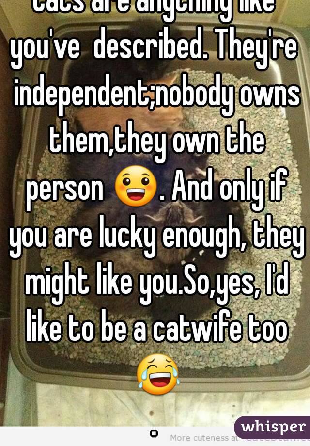 Cats are anything like you've  described. They're  independent;nobody owns them,they own the person 😀. And only if you are lucky enough, they might like you.So,yes, I'd like to be a catwife too 😂.