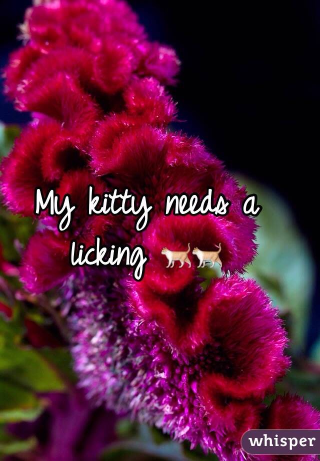 My kitty needs a licking 🐈🐈